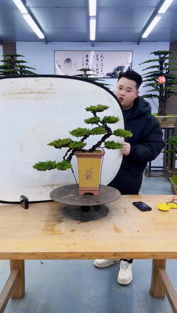 以实际为准晓*0000000