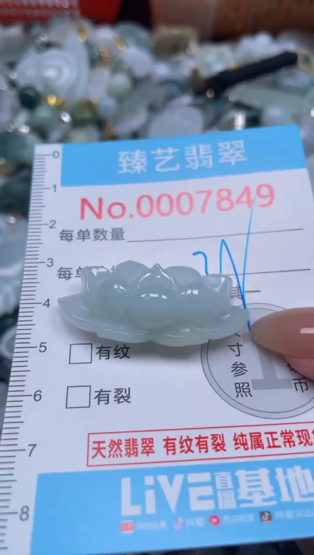 颈饰未镶嵌翡翠7849