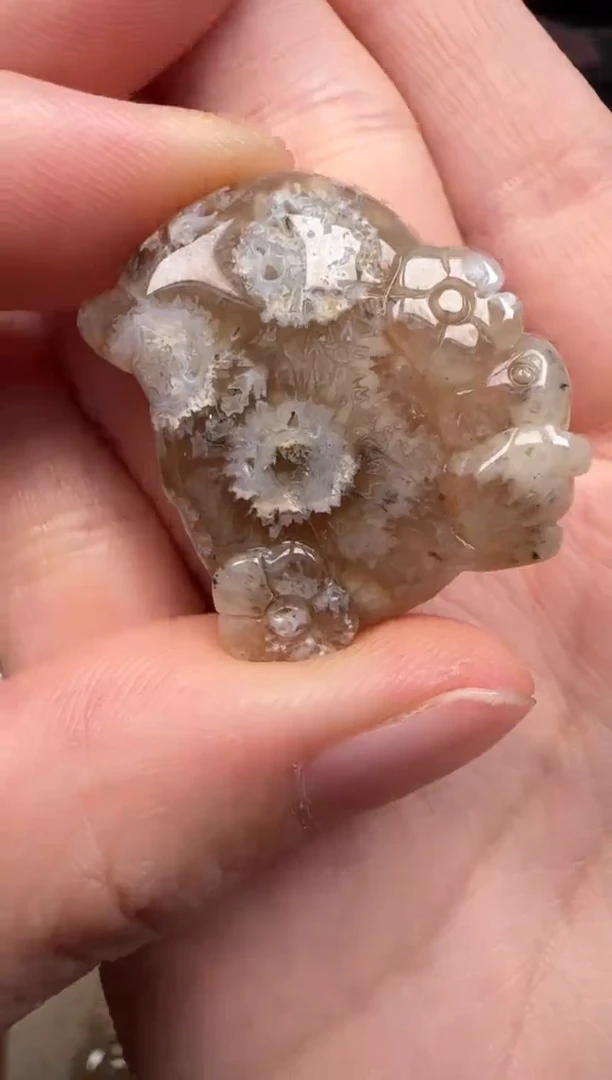 硅化珊瑚（珊瑚玉）未镶嵌颈饰778