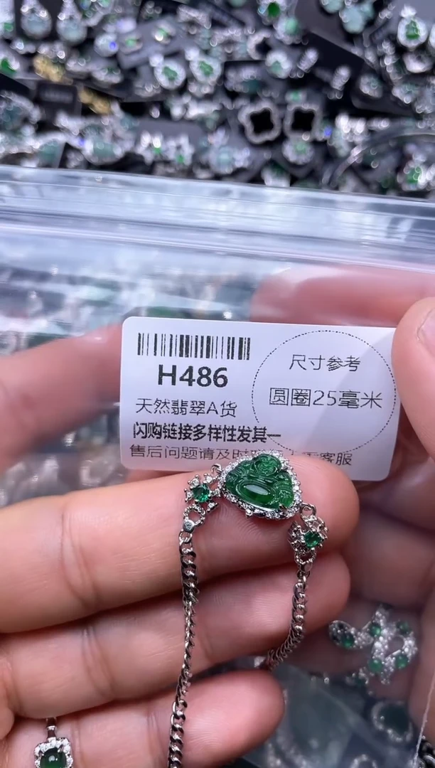 【闪购商品】翡翠颈饰未镶嵌H486手链