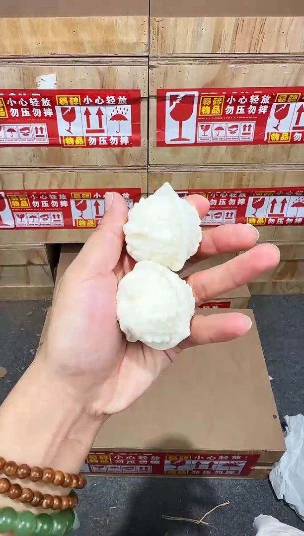 翎光合文玩精品手串-无礼盒-@@g029