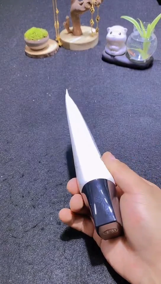 碟11111111111111@@1