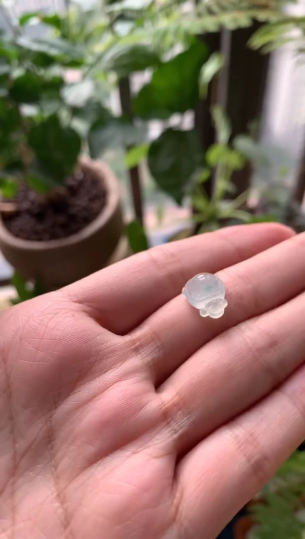 翡翠未镶嵌颈饰金*o小乌龟