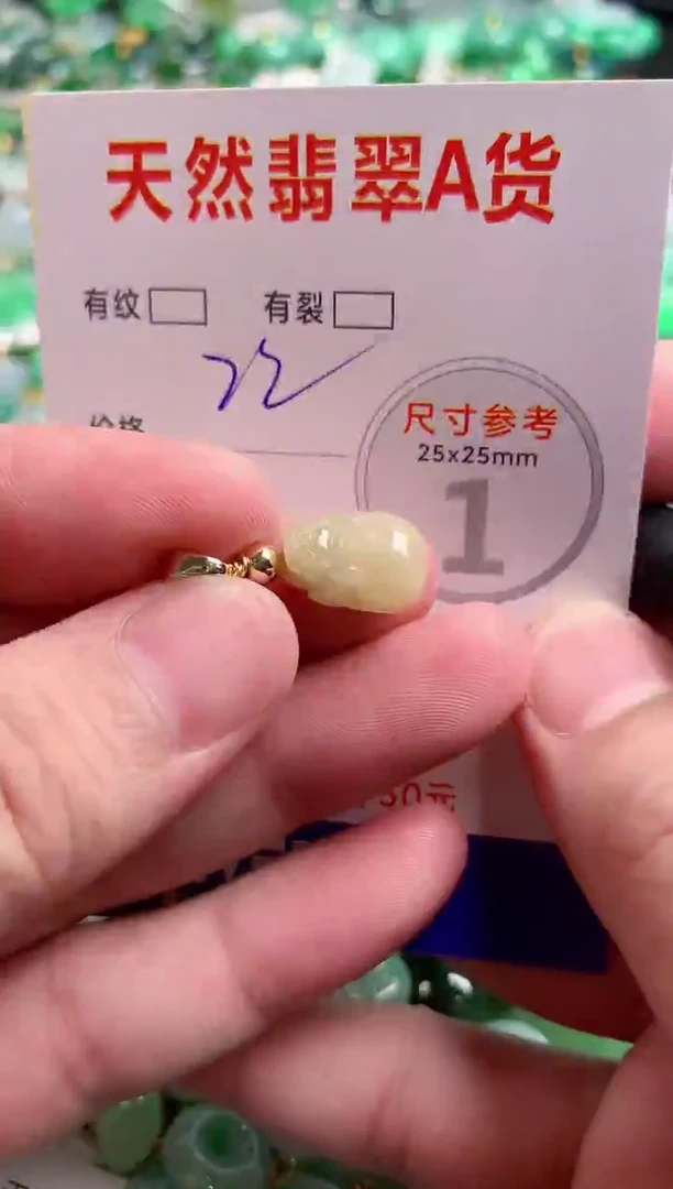 翡翠未镶嵌颈饰13005190