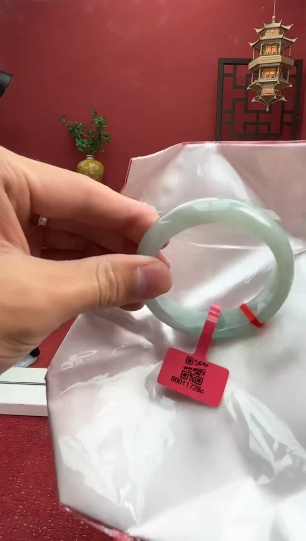 未镶嵌手镯翡翠翡翠手镯1
