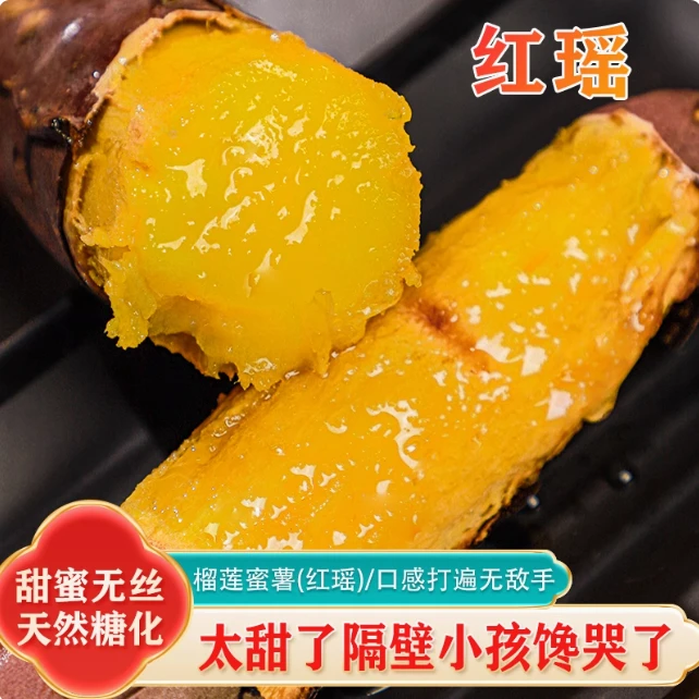 【 红瑶50度甜 顺丰包邮】红瑶黄金蜜薯  软糯蜜甜 烤地瓜非常甜