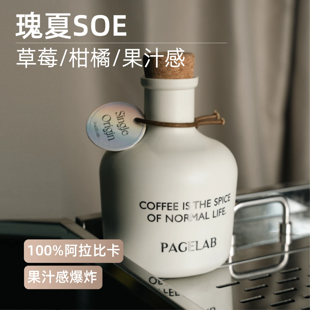 PAGE LAB[精品瑰夏]瑰夏soe精品黑咖美式拿铁意式阿拉比卡咖啡豆
