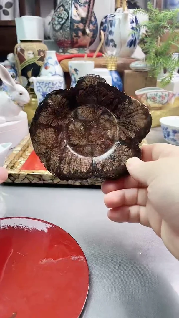 瓷片日产樱皮杯托