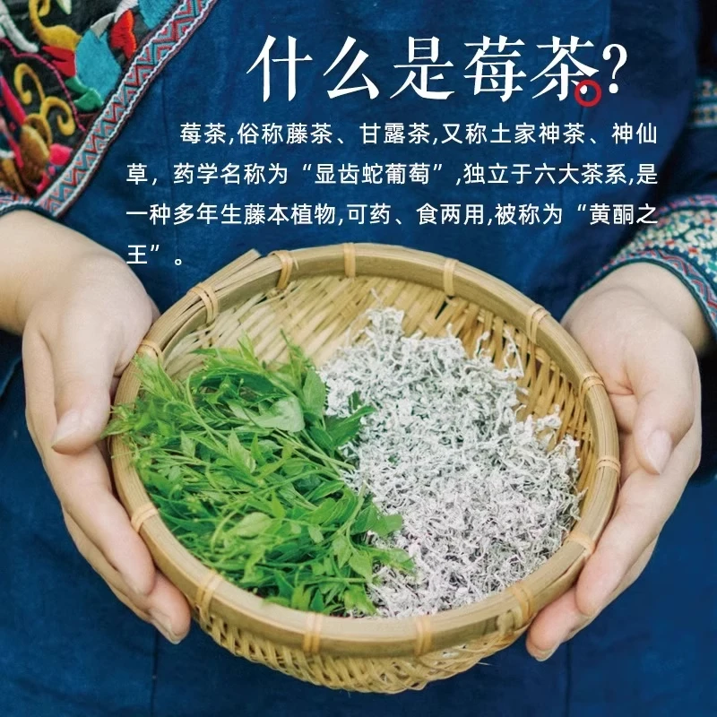 天门郡芽头莓茶礼盒装