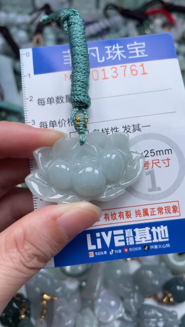 颈饰未镶嵌翡翠13761