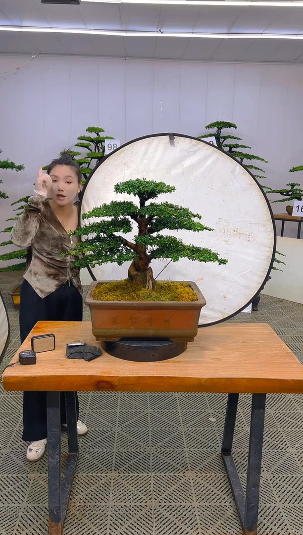 无花朵一物一拍一物一拍