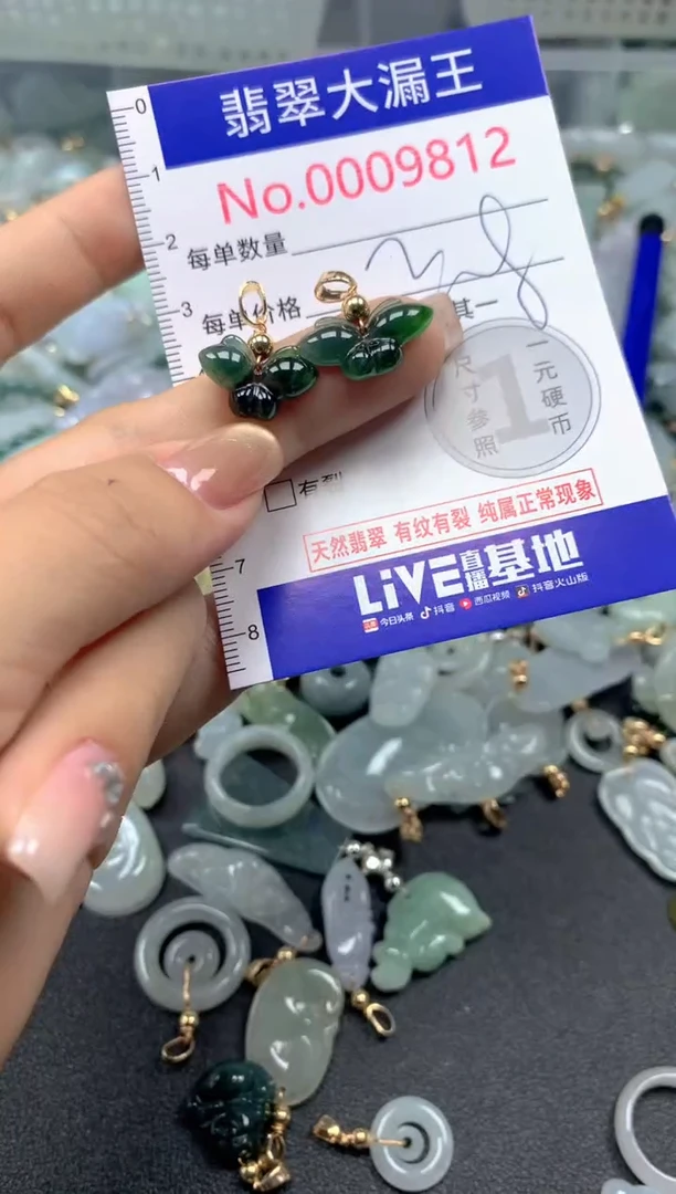 颈饰未镶嵌翡翠9812