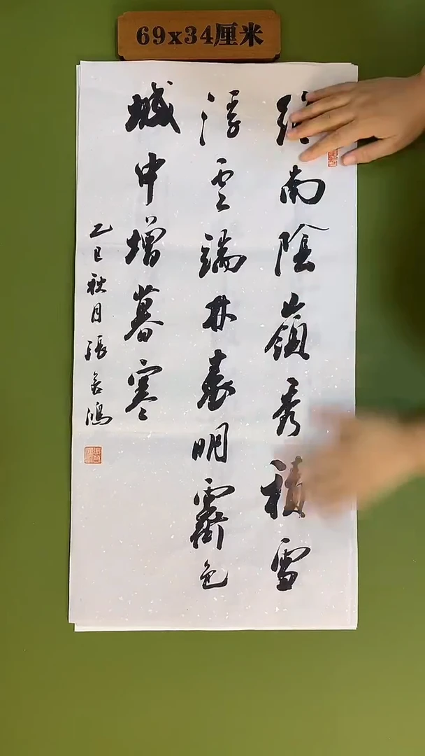 书法书法 张若鸿 尺寸69cm*34cm