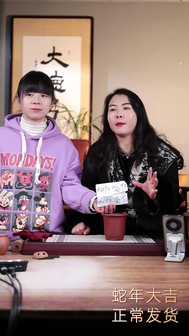 【闪购商品】紫砂花盆清水泥迷你小金钟一只无托