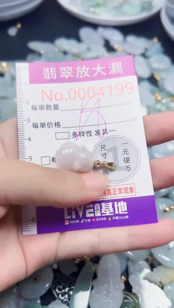 颈饰未镶嵌翡翠4199