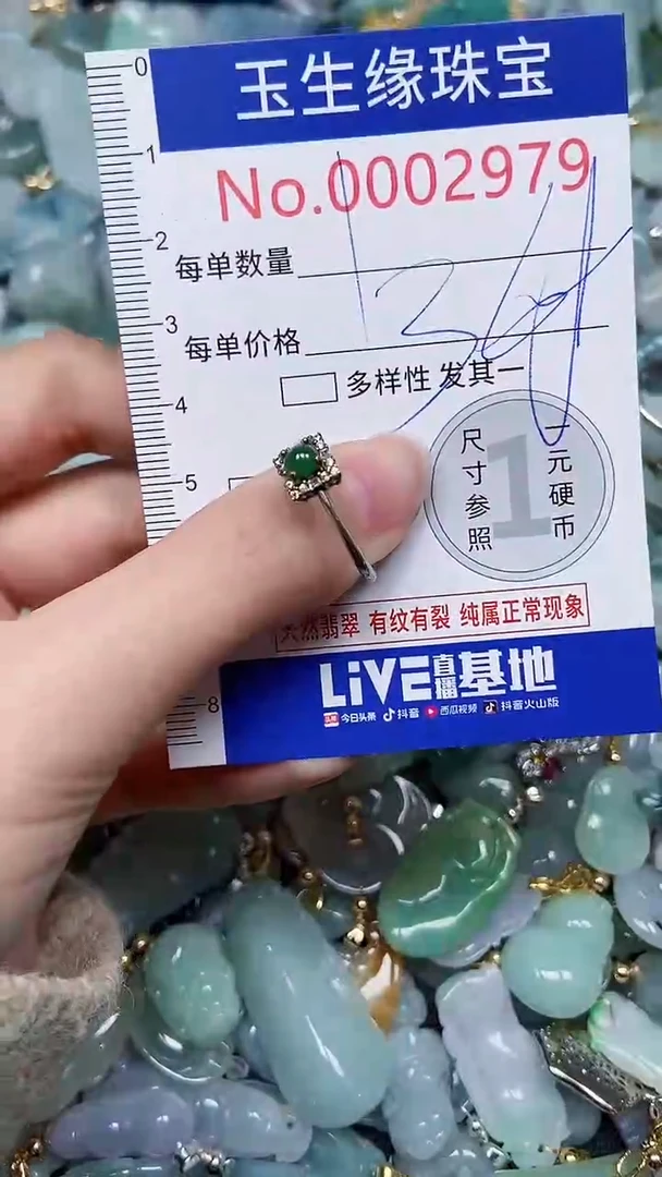 【闪购商品】翡翠颈饰未镶嵌闪购00002979