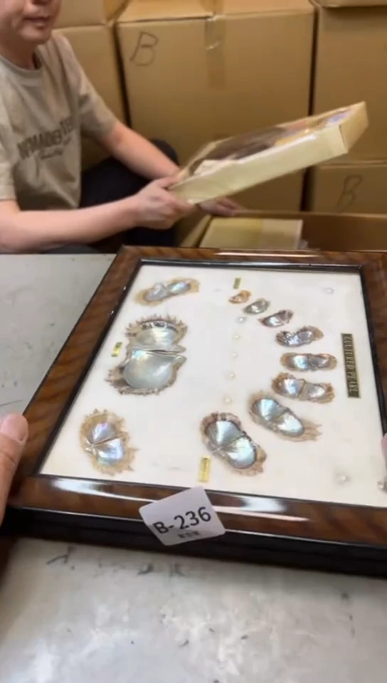 瓷片236聚宝缘二号店