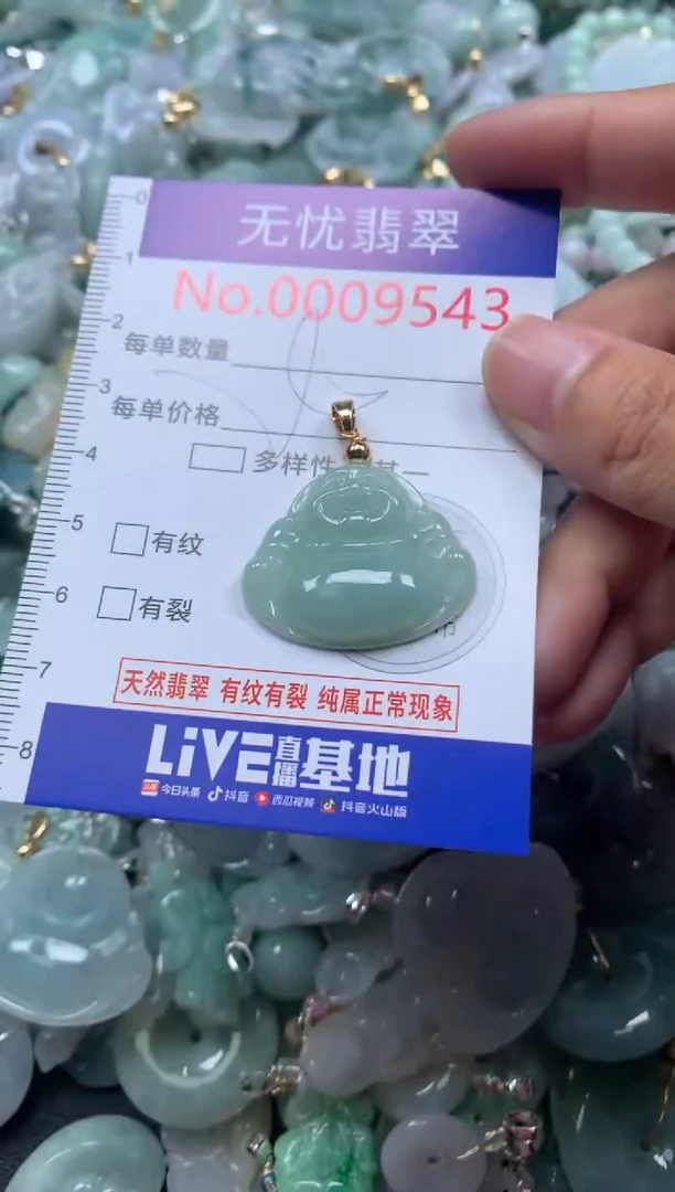 颈饰未镶嵌翡翠9543