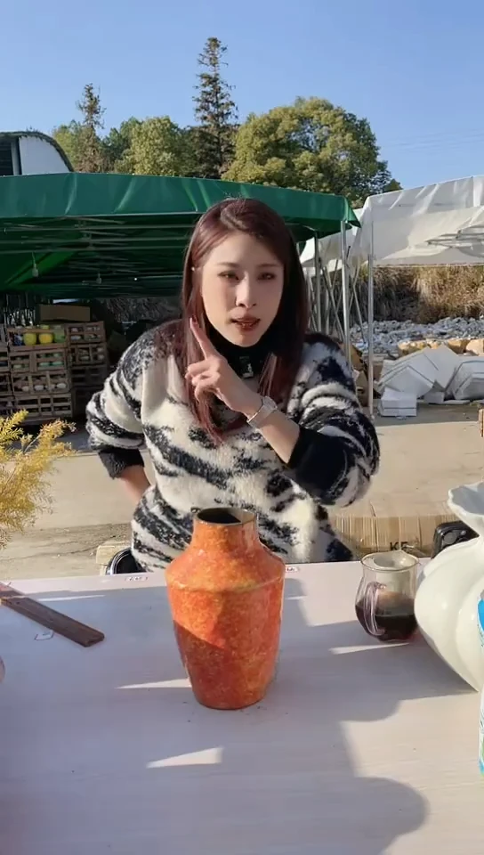 【闪购商品】陶瓷景德镇手工陶瓷推