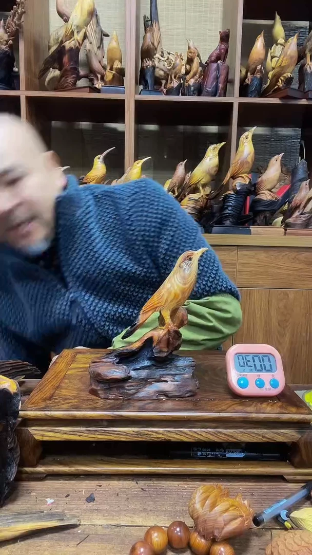 松木杨 定向 杨 定向 杨