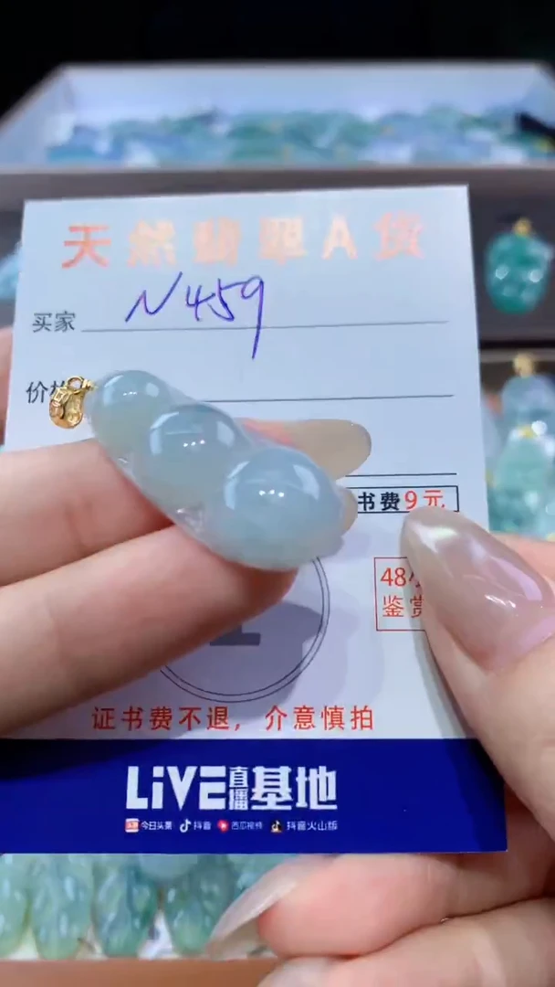 颈饰未镶嵌翡翠天然翡翠A货挂件