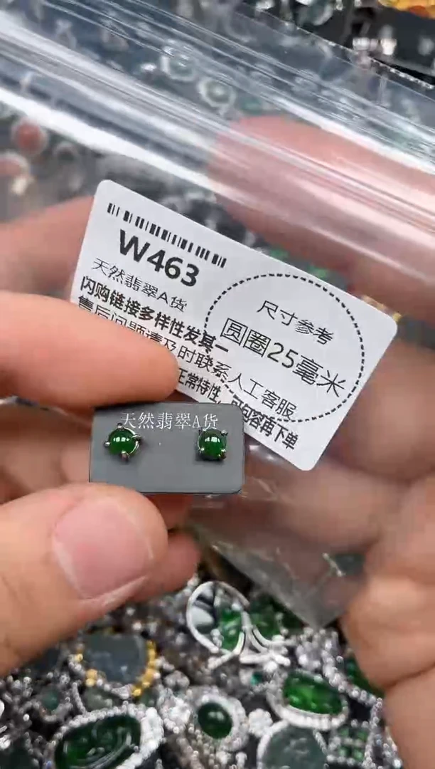 颈饰未镶嵌翡翠W463耳钉