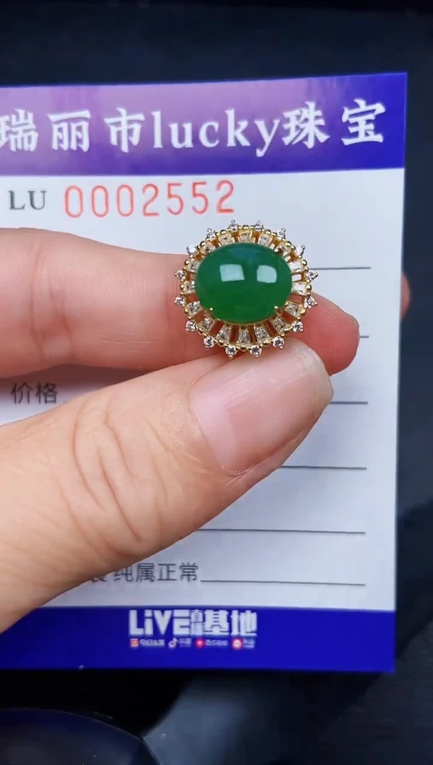 翡翠银S925镶嵌颈饰2552