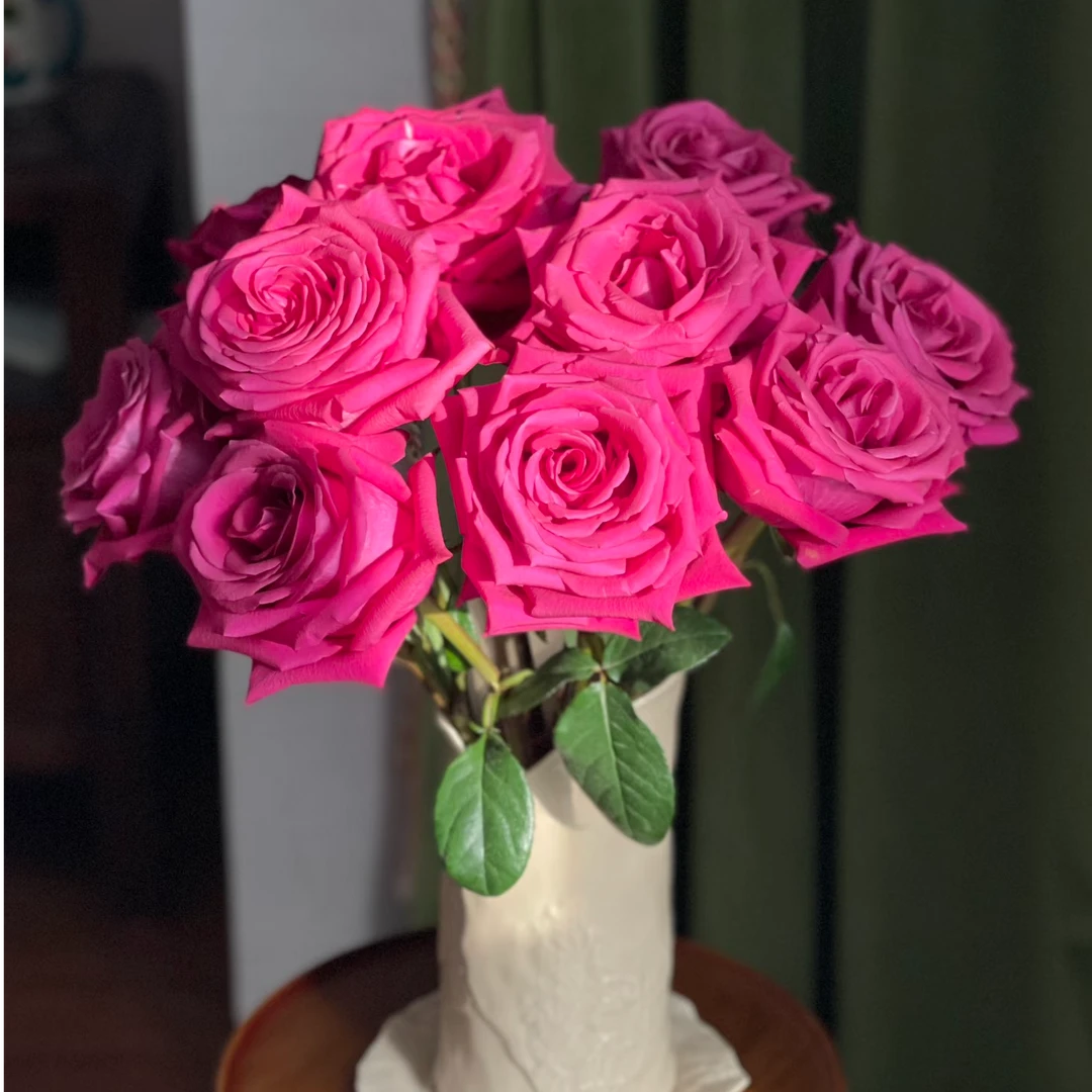 【遇水就炸弗洛伊德易开】家用鲜花任意拍两单升级顺丰三单送配草