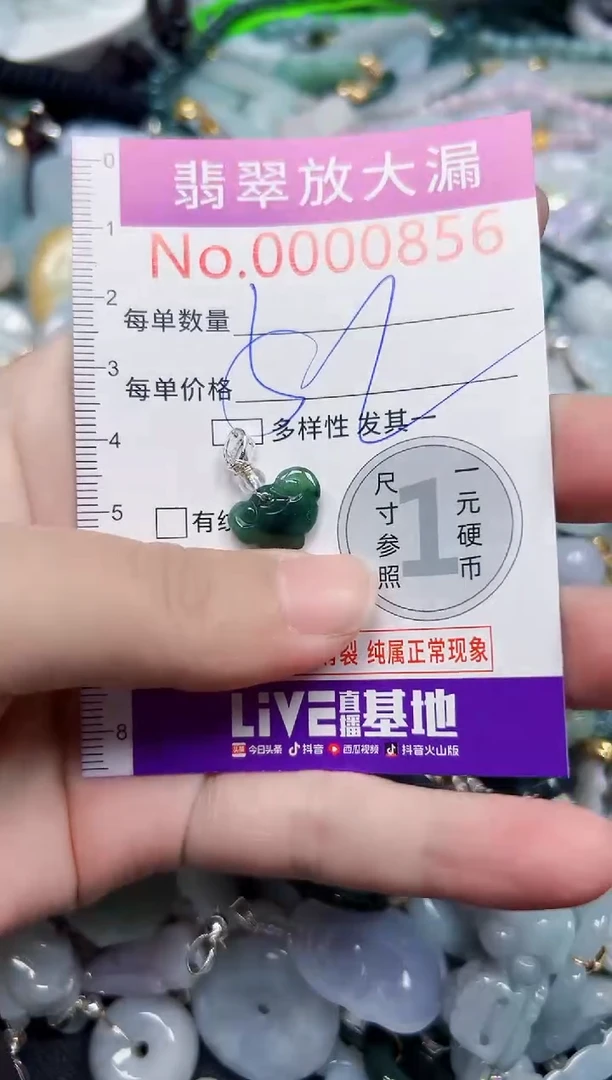 颈饰未镶嵌翡翠856