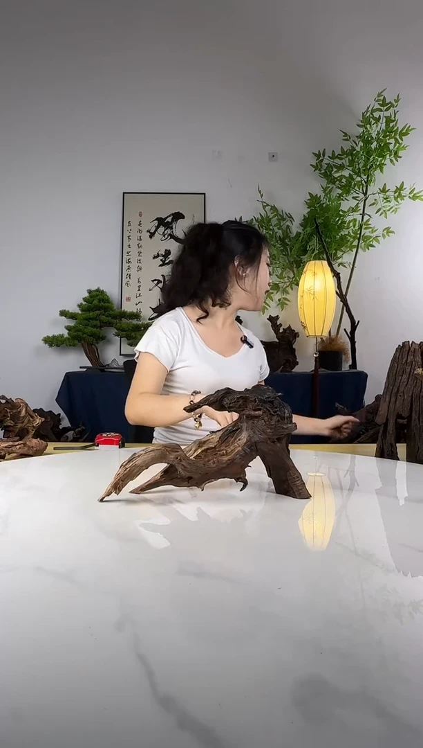 二*拍这个定向编号67