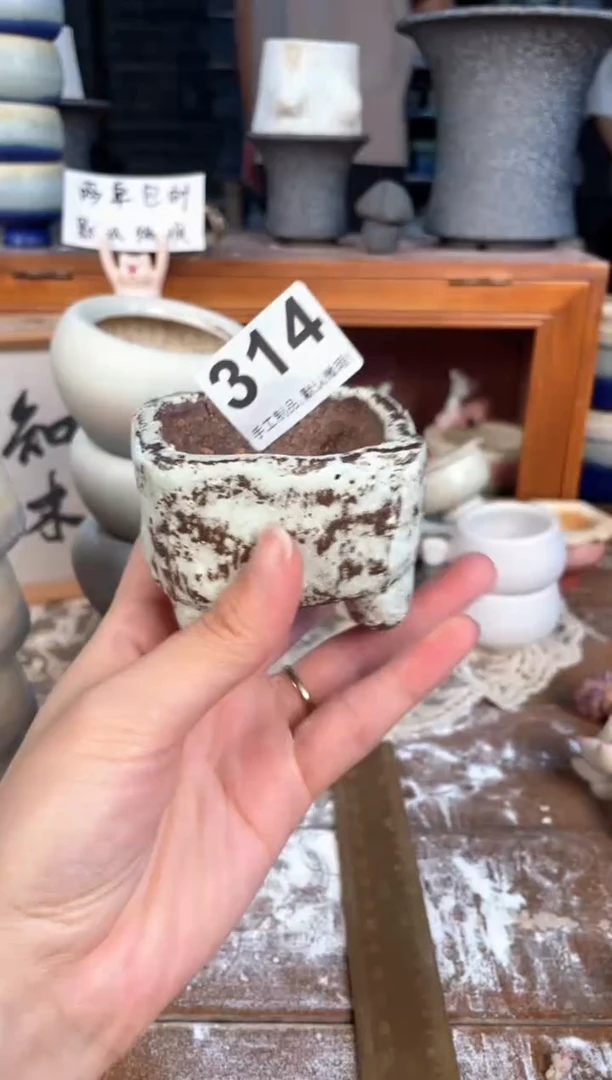 瓷片314小芳花盆直播编号