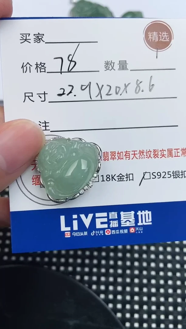 翡翠银S925镶嵌颈饰挂件