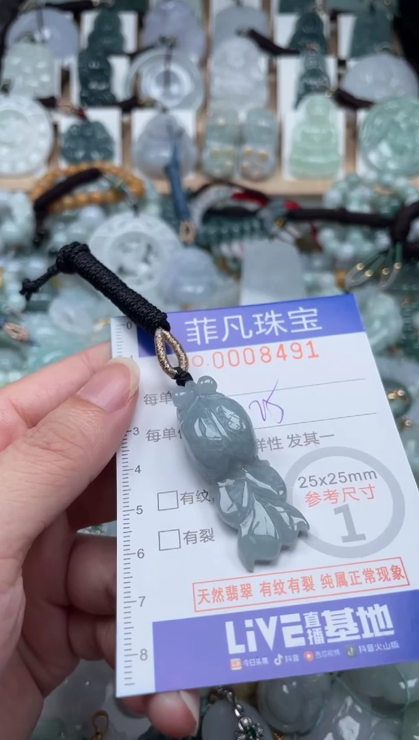 翡翠未镶嵌颈饰00..8491