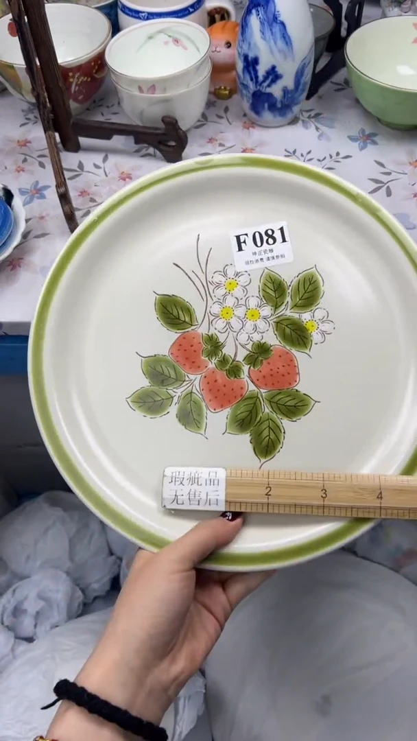 瓷片          F081