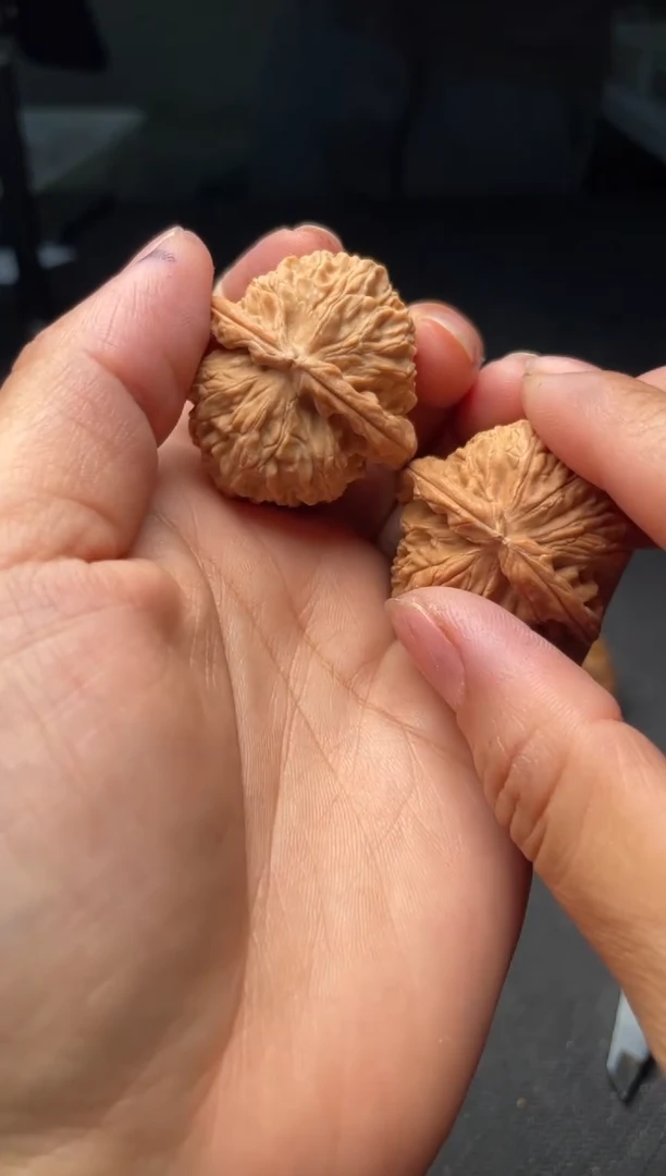 把件文玩核桃w221  白狮子  35