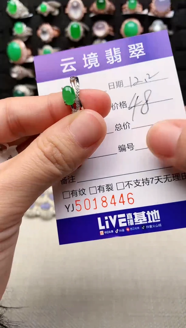 银S925镶嵌戒指翡翠8446