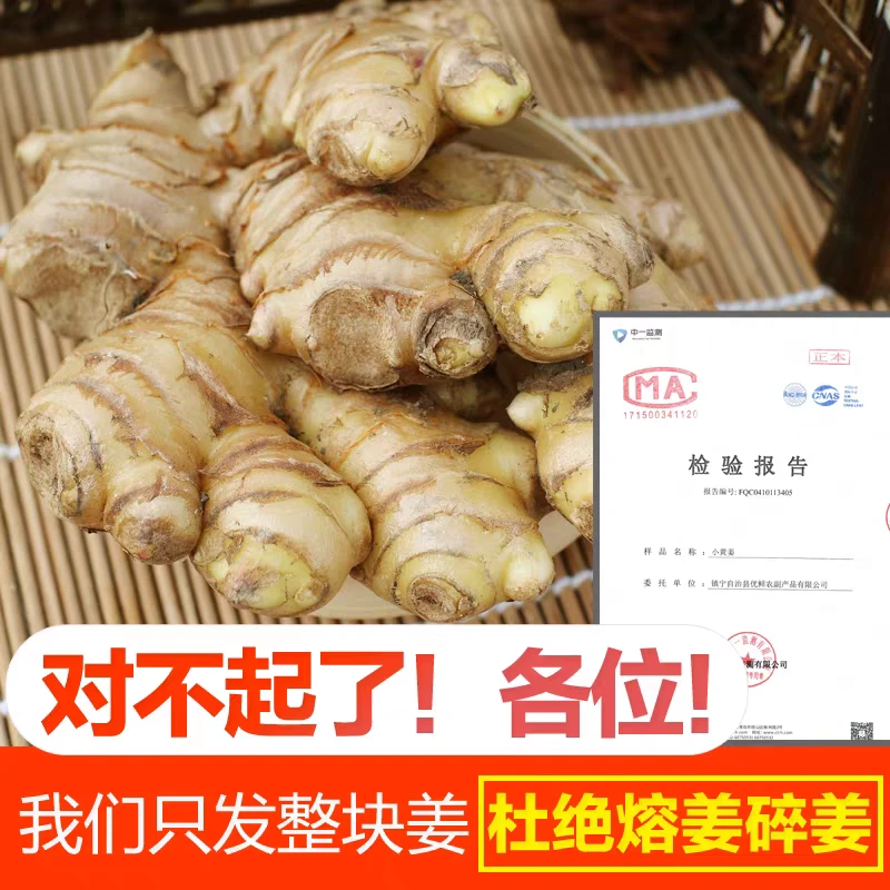 贵州小黄姜新鲜现挖老姜嫩姜高山精品蔬菜月子姜