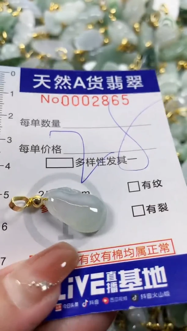 颈饰未镶嵌翡翠天然A货翡翠