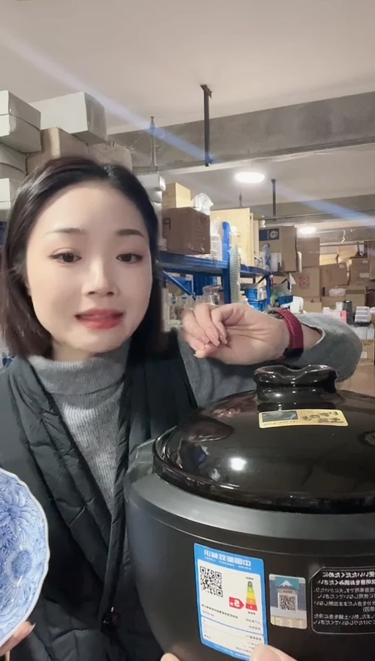 【闪购商品】瓷片进口家用百货西哲炖锅