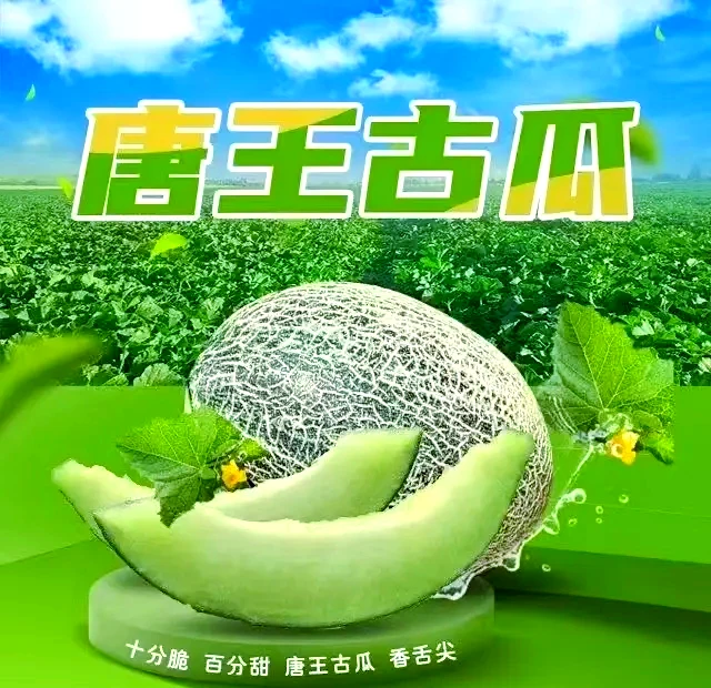 【顺丰包邮】新疆伽师瓜唐王古瓜脆甜多汁现摘现发新鲜包邮发货