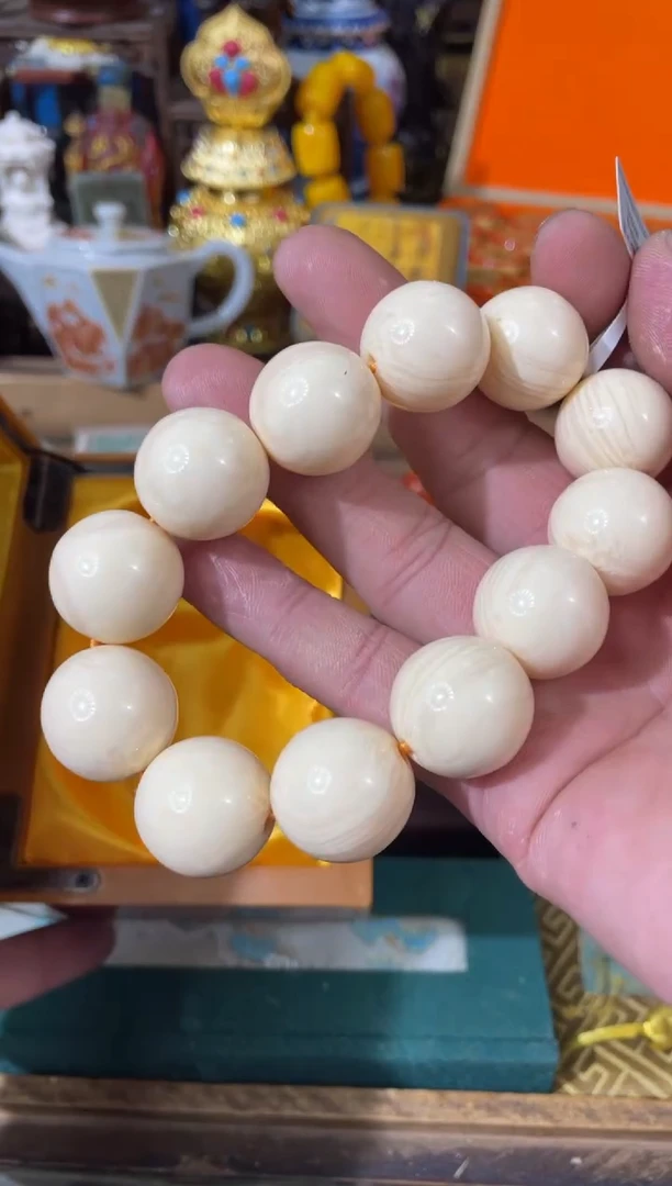 【闪购商品】瑞瑞瑞瑞瑞瑞瑞瑞