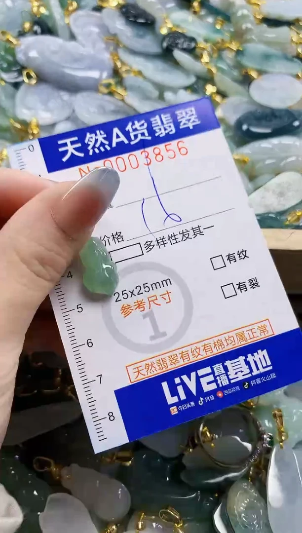 颈饰未镶嵌翡翠纯天然a货翡翠