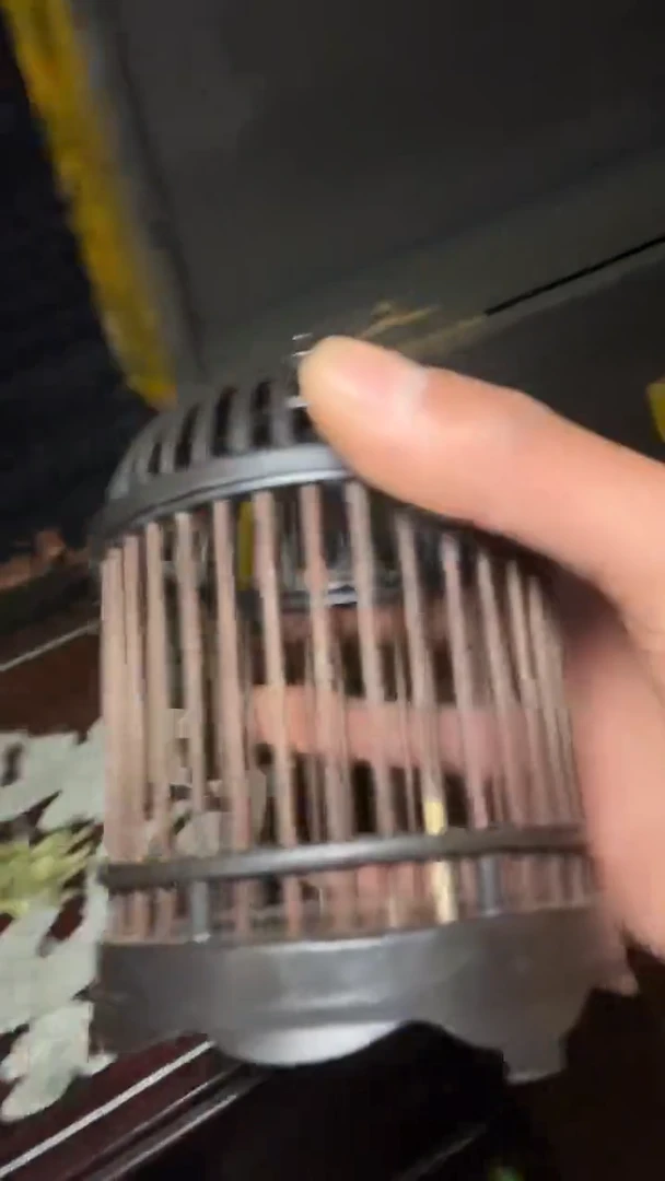 木-----------福利-------------------------------------复古风