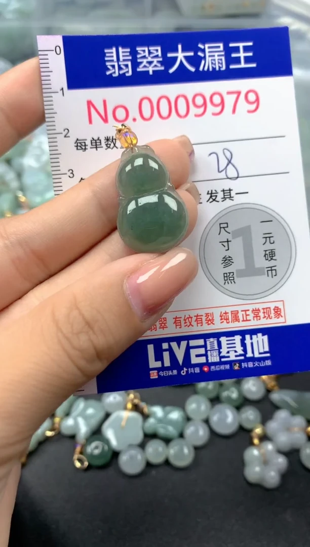 颈饰未镶嵌翡翠9979