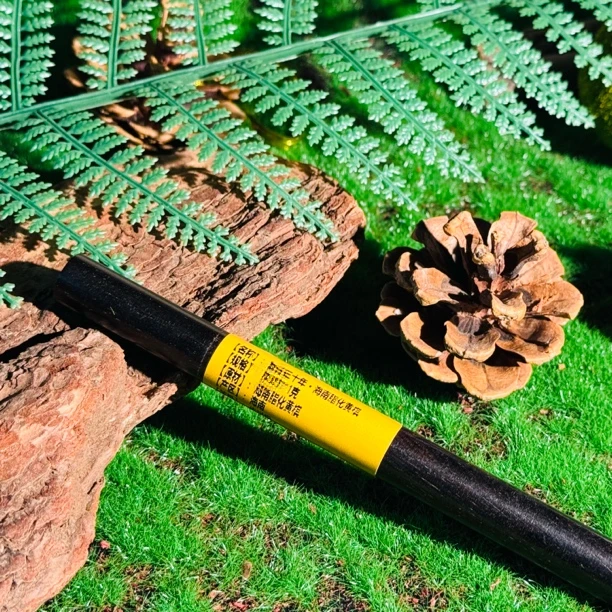 〖沉境〗臻藏三十年 海南脂化黄棋 线香 工厂溯源