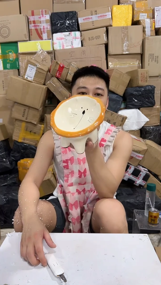 瓷片大号狮子猫碗 陶瓷