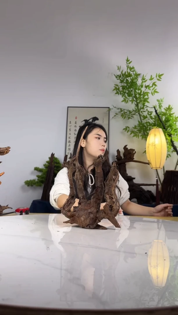 梦****W拍这个定向编号41