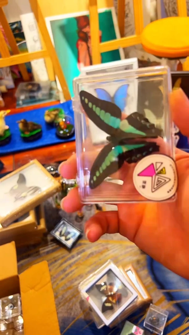 有机玻璃15654815