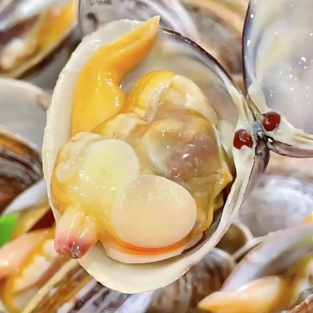 东港黄蚬子 5斤装（26-29头/斤 ）顺丰冷链发货