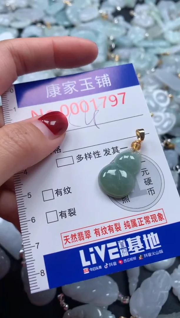 颈饰未镶嵌翡翠1797